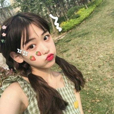 泰迪熊封面