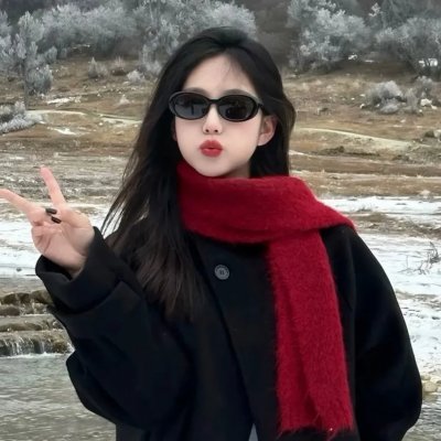 决战燕子门封面